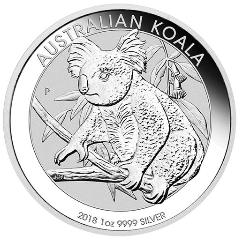 Obrázek Australian Koala